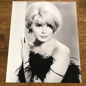 Movie Star Celebrity Model Elke Sommer Portrait Photo
